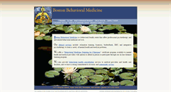 Desktop Screenshot of bostonbmed.com